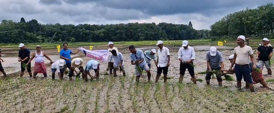 জোলাইবাড়ি কৃষি তত্ত্বাবধান বিভাগের আয়োজনে কৃষকদের জন্য সচেতনতামূলক কর্মসূচি।